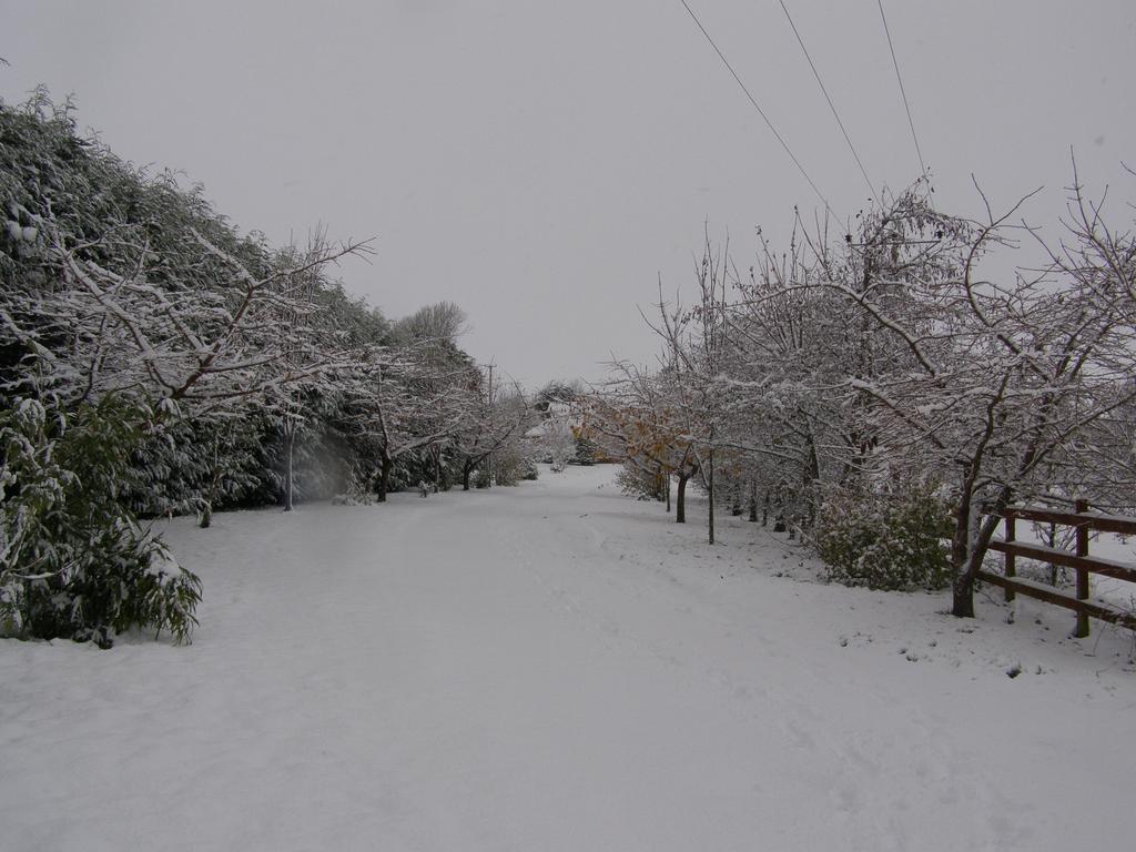 Killurin Lodge Ballyvolane Bagian luar foto