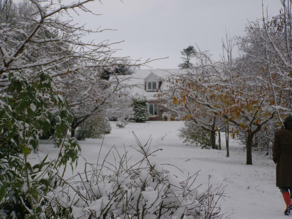 Killurin Lodge Ballyvolane Bagian luar foto